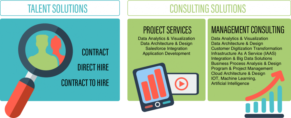 Website Solutions Infographic